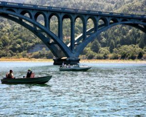 Bridge
