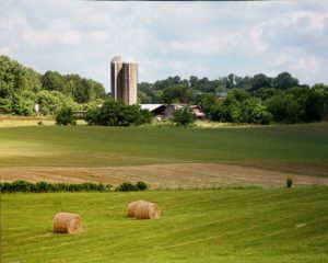 Farm