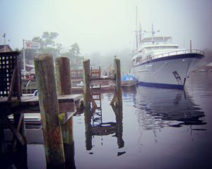 Misty Afternoon