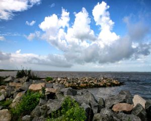 Ocean Shore