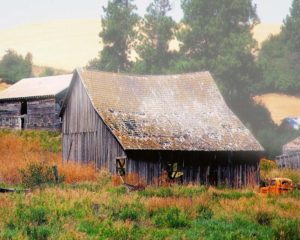 Old Barn