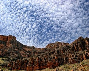 Puffy Clouds