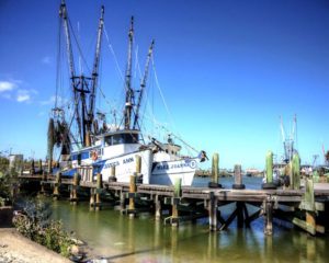 Shrimp Boats