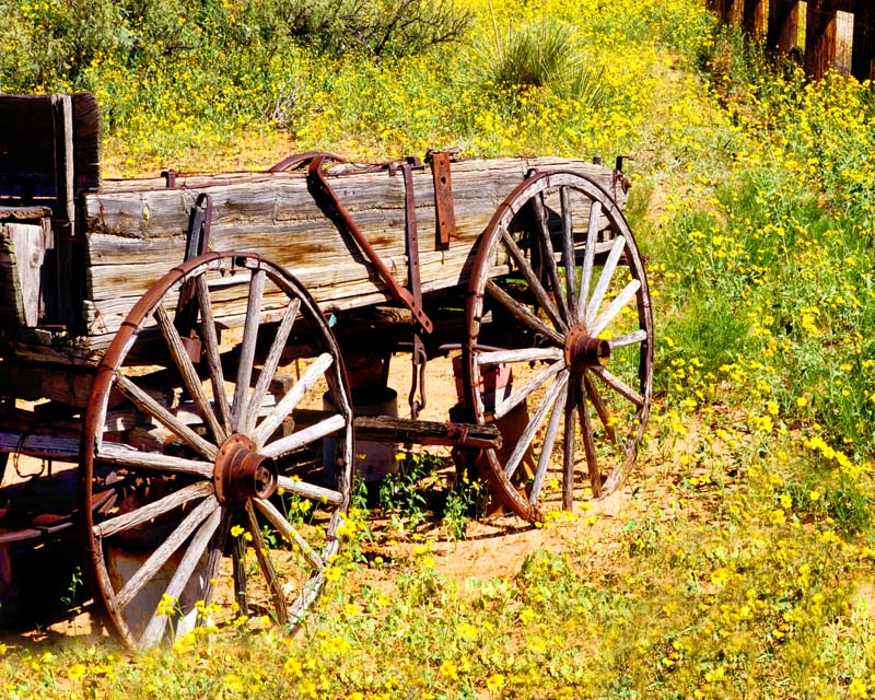 Wagon Flowers