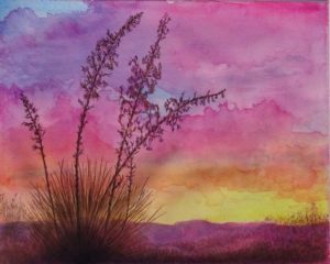 Yucca Sunrise