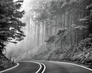 B W Misty Road