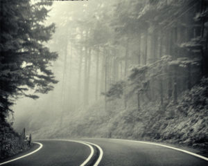 Vintage Misty Road