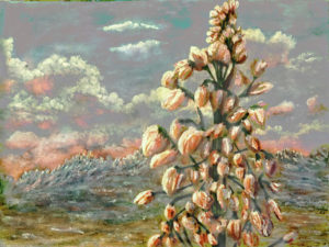 1-blooming-cactus-darrell-mcgahhey