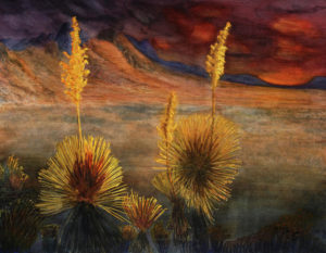 1-yucca-sunset-darrell-mcgahhey