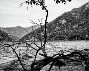b-w-on-the-lake-darrell-mcgahhey