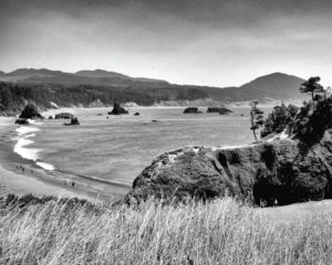 bandw-coastline-darrell-mcgahhey