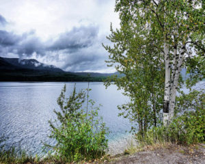 flathead-lake-5-darrell-mcgahhey
