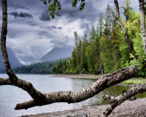 flathead-lake-6-darrell-mcgahhey