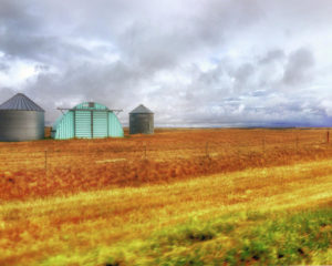 montana-grasslands-darrell-mcgahhey